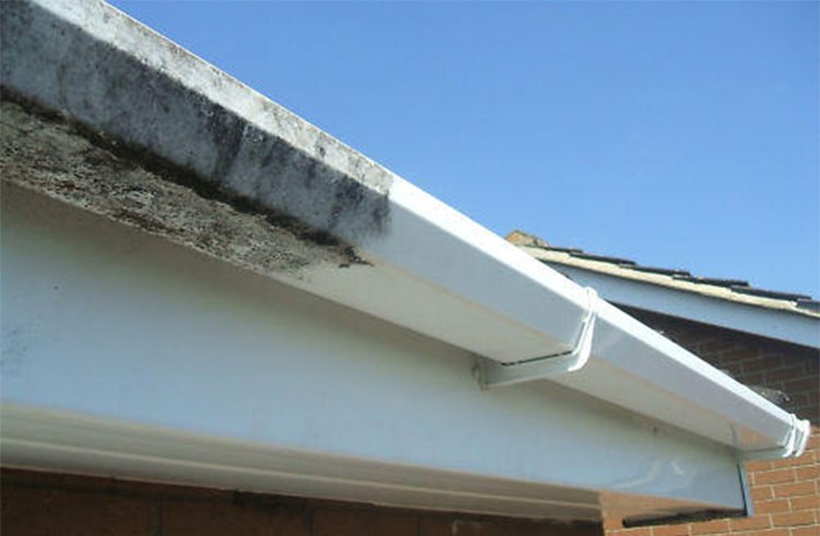 Gutter Fascia/Soffit Cleaning
