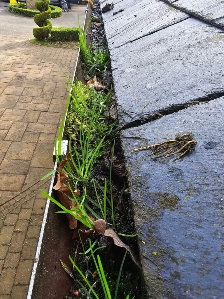 A before photo of a gutter clean