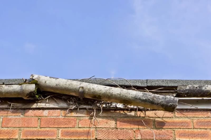 The result of poorly maintained guttering