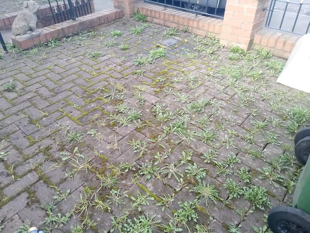 Cleaning work by Annual Cleaning Solutions
