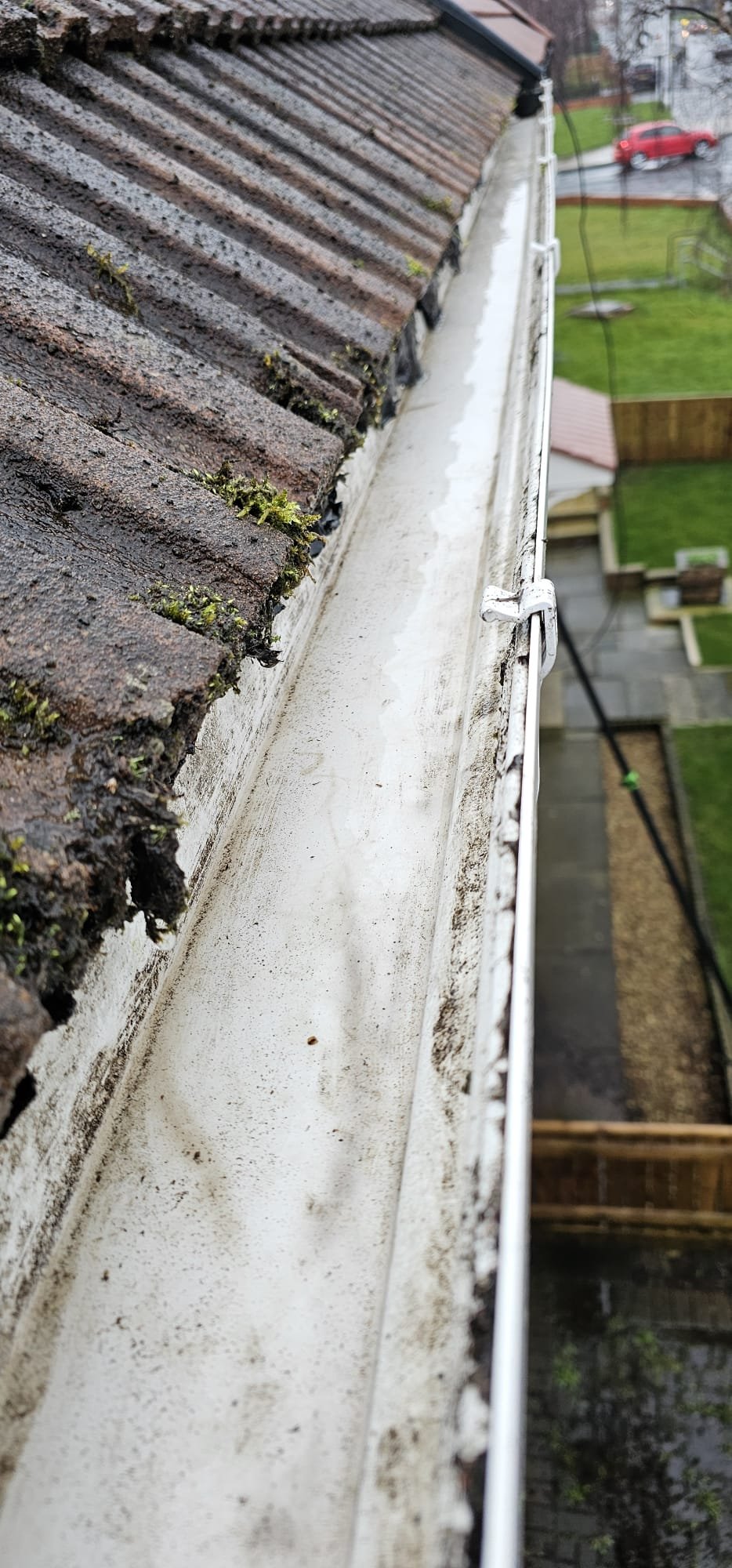 Roof moss removal