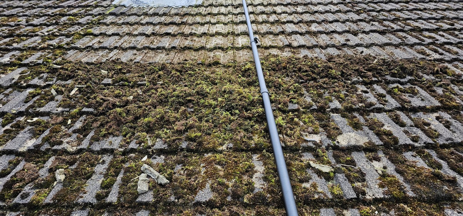 Gutter cleaning
